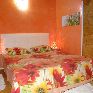 Orange Flower София